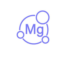 Lipoza® Magnesium